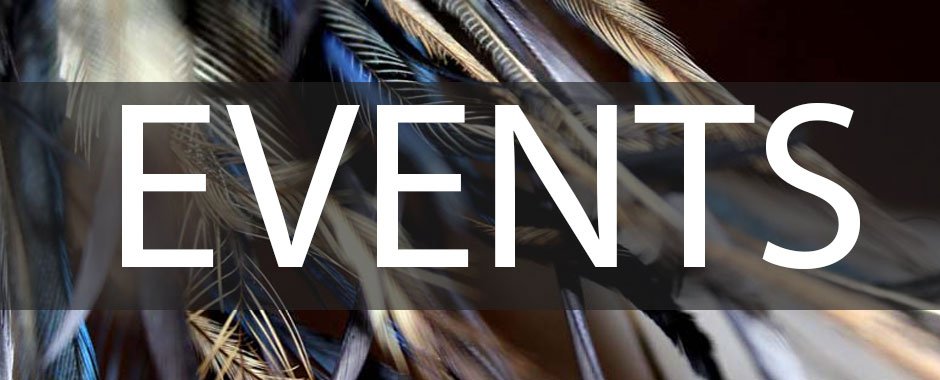 Events header Saraden Designs